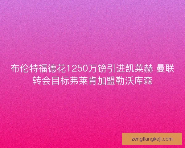 布伦特福德花1250万镑引进凯莱赫 曼联转会目标弗莱肯加盟勒沃库森